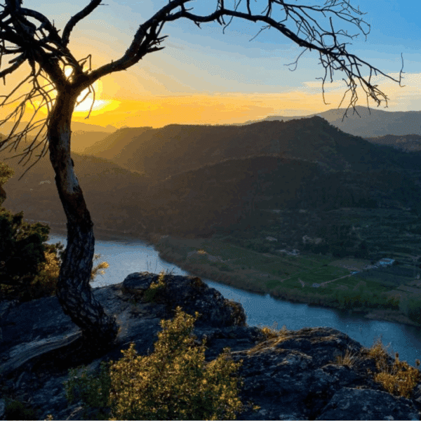 Atardecer en la Ribera del Ebro