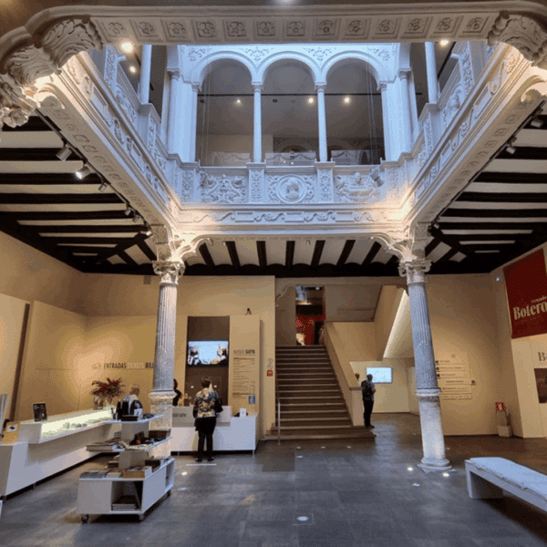 Historia en el Museo Goya